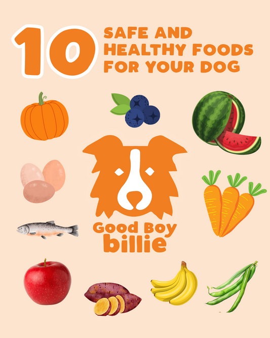 10 Safe and Healthy Foods for Your Dog