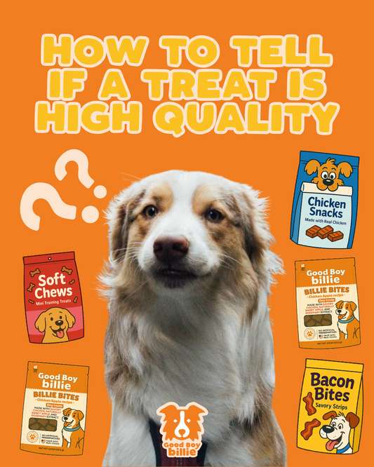 How to Tell If a Dog Treat Is High Quality