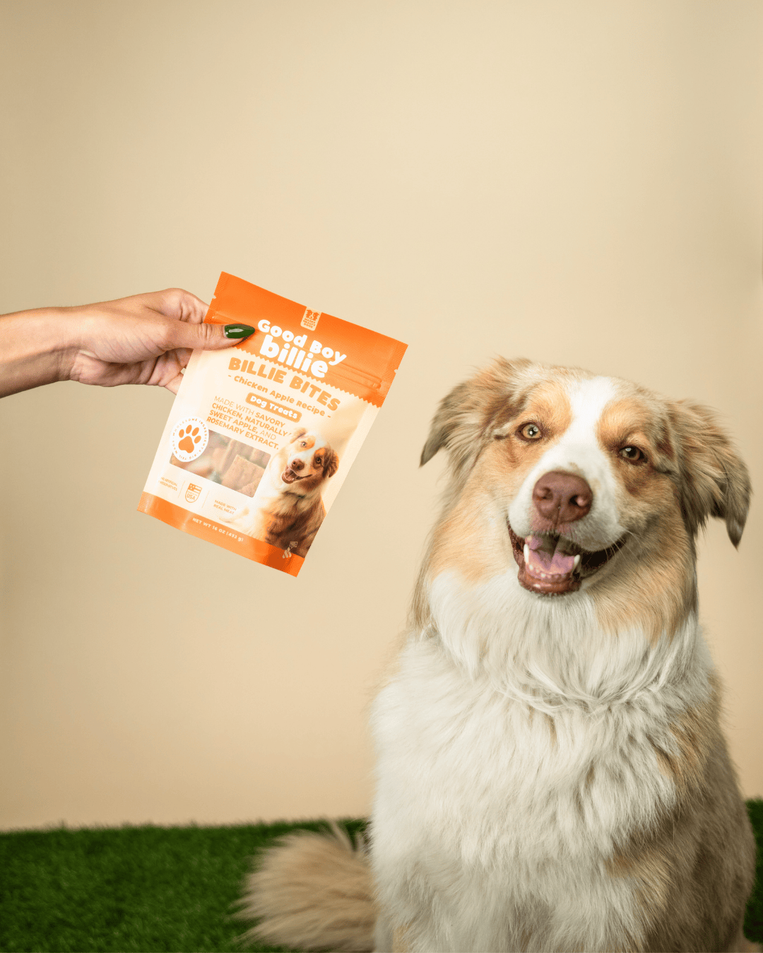 Billie Bites: A Closer Look at Our 8 Honest Ingredients