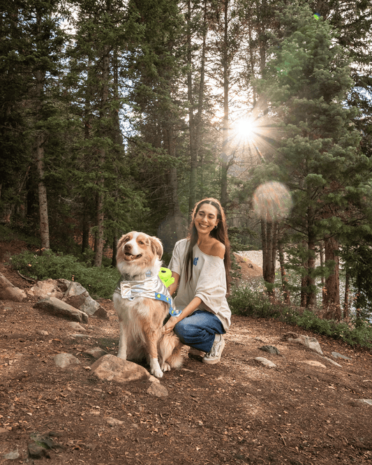 How Dogs Positively Impact Our Mental Health