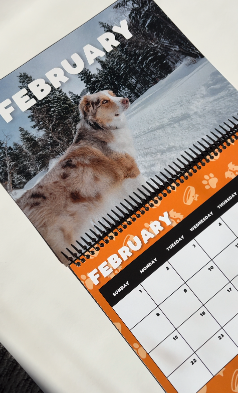 2026 Good Boy Billie Calendar