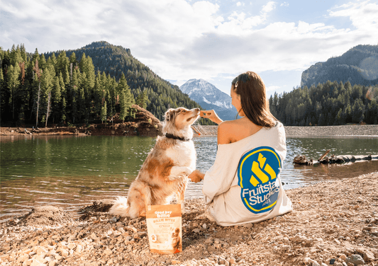 Not All Dog Treats Are Created Equal: Ingredients to Avoid