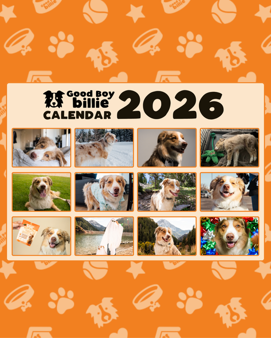 2026 Good Boy Billie Calendar